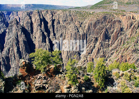 Schwarze Schlucht des Gunnison bei Gunnison Point Stockfoto