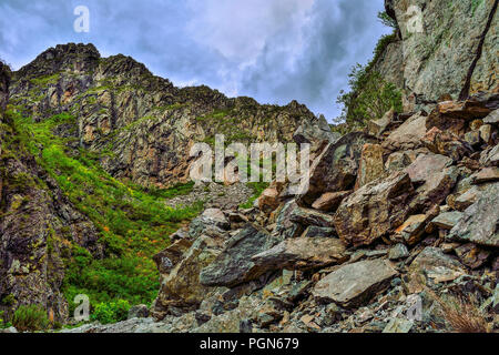 Malerische trübe Sommer Landschaft der Berge Schlucht in den Altai Gebirge, Russland. Gebrochene Kalkstein mit Moos und Flechten und einen Stapel abgedeckt Stockfoto