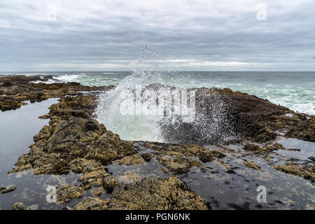 Wave Absturz in Thor's gut, Wahrzeichen der Cape Perpetua Scenic Area basaltischen Vorgewende, Küste von Oregon, USA. Stockfoto