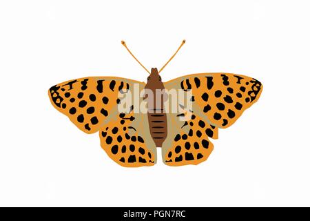 Schmetterling in der Farbe Orange mit schwarzen Punkten - Vector Graphics Stock Vektor