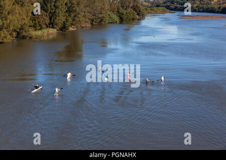 Athlet Paddler Kanu morgen Praxis bis glasig Fluss Gewässer unter Brücke Landschaft Stockfoto