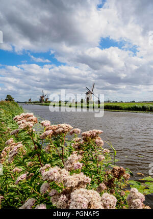Die Windmühlen von Kinderdijk, Weltkulturerbe der UNESCO, Südholland, Niederlande Stockfoto