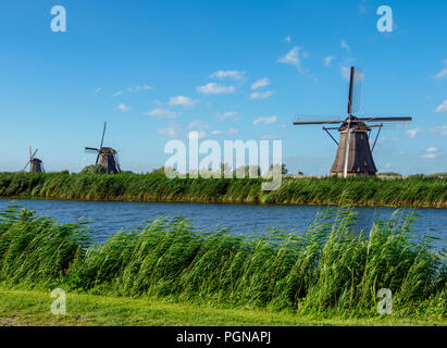 Die Windmühlen von Kinderdijk, Weltkulturerbe der UNESCO, Südholland, Niederlande Stockfoto