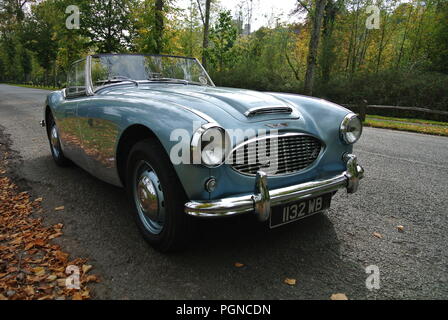 Ein 1957 Austin Healey 100 parkte in Arundel, Sussex, England, Großbritannien Stockfoto