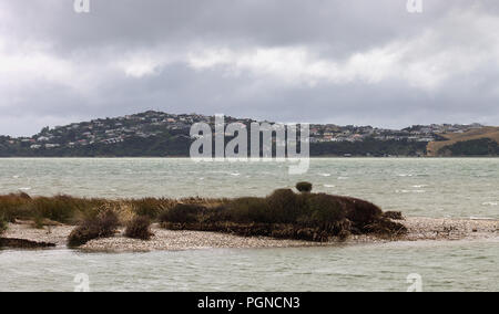 Querformat von pauatahanui Einlass in Richtung Mana, Wellington, Neuseeland. Stockfoto