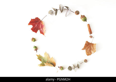 Herbst Ahorn, Eukalyptus und Eichenlaub auf weißem Hintergrund gelegt. Herbst Kreis Komposition. Flach, Ansicht von oben. Stockfoto