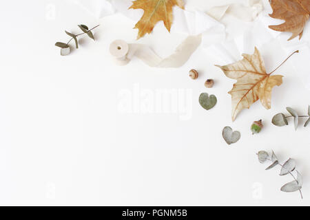 Herbst kreativ gestaltete Komposition. Herbst Blumenschmuck mit trockenen Eukalyptus, Ahorn Blätter und Seidenband auf weißem Hintergrund. Feminine Flach, Ansicht von oben. Der leere Raum. Stockfoto