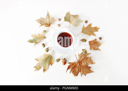 Herbst Ahorn und Eiche Blätter Komposition mit Tasse Tee und Eicheln auf weißem Hintergrund. Styled Foto. Flach, Ansicht von oben. Herbst Design. Stockfoto