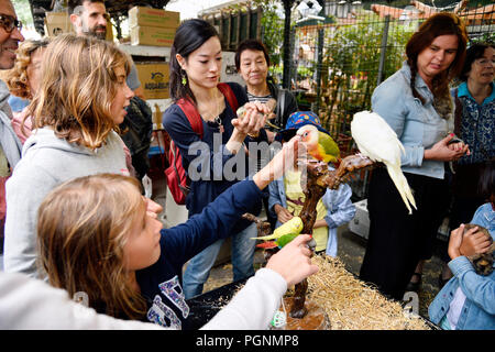 Marché aux fleurs et aux Oiseaux Reine Elizabeth II - Allée des Célestins - Paris 4. Stockfoto