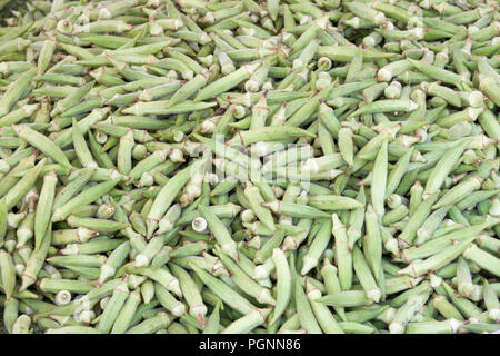 Viele okra Finger (Lady) als Hintergrund Stockfoto