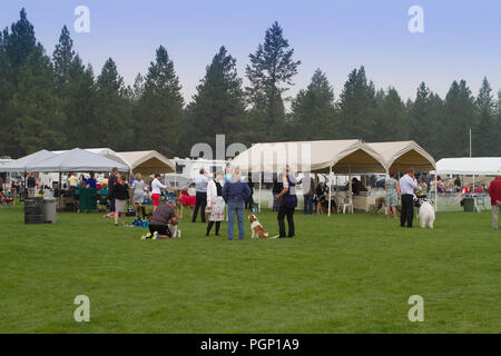 Cranbrook jährliche Hund zeigen, Ring, Anbieter Zelte, Aussicht auf die gesamte einrichten Stockfoto