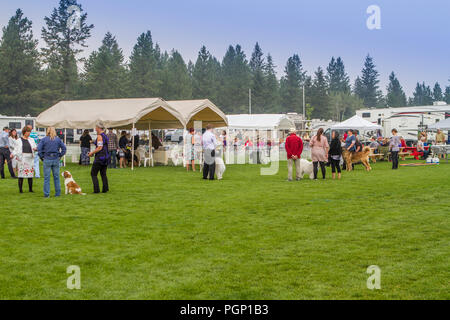 Cranbrook jährliche Hund zeigen, Ring, Anbieter Zelte, Aussicht auf die gesamte einrichten Stockfoto