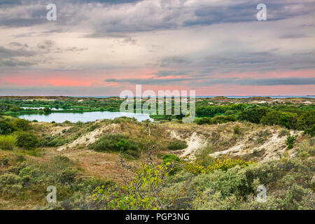 Landschaft mit Dünen und wilde Natur während des Sonnenuntergangs im Nationalpark meijendel an der niederländischen Küste Stockfoto