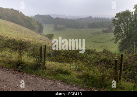 Landschaft Landschaft Blick auf die schmale Straße mit Barb wired Zaun an einem nebligen Morgen im ländlichen England Stockfoto