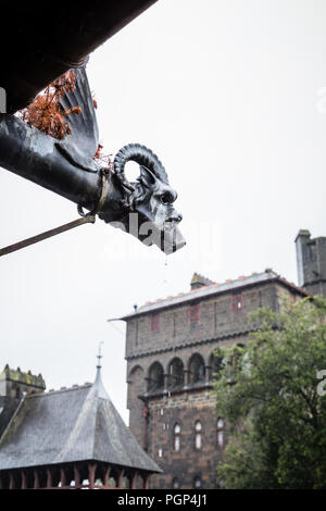 Gotische Ziege Gargoyle in Cardiff Caerdydd Schloss Castell, Cardiff, Wales Stockfoto