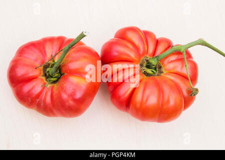 Organische Brandywine Tomate Stockfoto