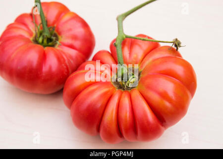 Organische Brandywine Tomate Stockfoto