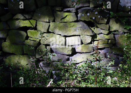 Nahaufnahme einer Trockenmauer mit dappled Licht durch Bäume im Peak District National Park Stockfoto
