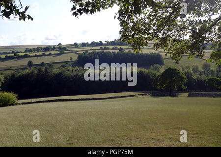 Hübsches land Tal in der Nähe von Bradfield in der Nähe von Sheffield im Peak District National Park Stockfoto
