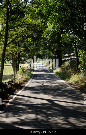 Sie suchen in einem leichten Bogen auf ein Land Hill Lane gerade innerhalb des Peak District National Park in der Nähe von Bradfield, Sheffield Stockfoto