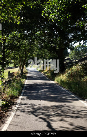 Sie suchen in einem leichten Bogen auf ein Land Hill Lane gerade innerhalb des Peak District National Park in der Nähe von Bradfield, Sheffield Stockfoto