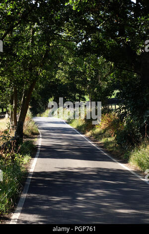 Sie suchen in einem leichten Bogen auf ein Land Hill Lane gerade innerhalb des Peak District National Park in der Nähe von Bradfield, Sheffield Stockfoto