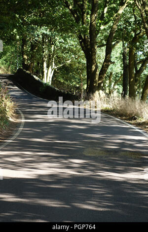 Sie suchen in einem leichten Bogen auf ein Land Hill Lane gerade innerhalb des Peak District National Park in der Nähe von Bradfield, Sheffield Stockfoto