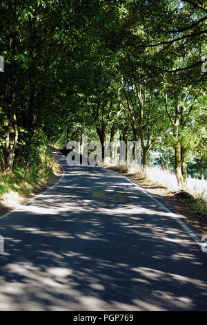 Sie suchen in einem leichten Bogen auf ein Land Hill Lane gerade innerhalb des Peak District National Park in der Nähe von Bradfield, Sheffield Stockfoto