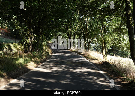 Sie suchen in einem leichten Bogen auf ein Land Hill Lane gerade innerhalb des Peak District National Park in der Nähe von Bradfield, Sheffield Stockfoto