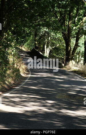 Sie suchen in einem leichten Bogen auf ein Land Hill Lane gerade innerhalb des Peak District National Park in der Nähe von Bradfield, Sheffield Stockfoto