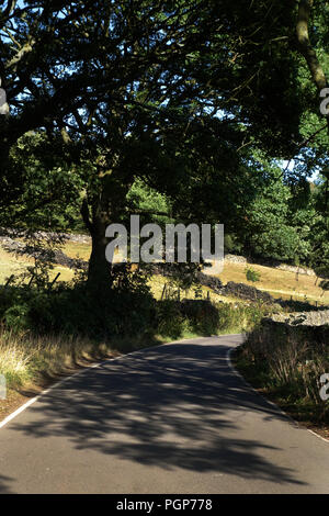 Sie suchen in einem leichten Bogen auf ein Land Hill Lane gerade innerhalb des Peak District National Park in der Nähe von Bradfield, Sheffield Stockfoto