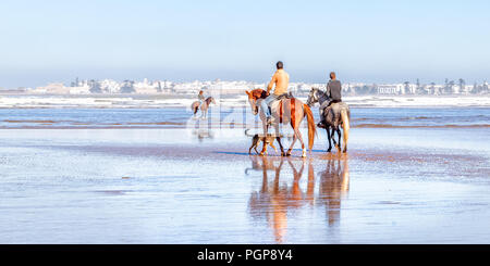 Marokko lokale Männer Reiten am Strand von Essaouira, einer Küstenstadt, im Hintergrund zu sehen. Stockfoto