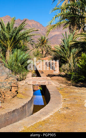 Bewässerungskanal in einem üppigen Marokkanische Oase im Draa Tal. Die blauen Wasserstraße ist nach Datum Palmen gesäumt. Berge im Hintergrund zu sehen. Stockfoto