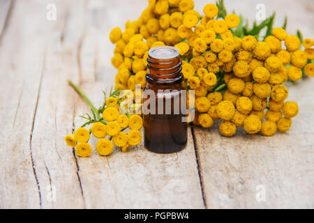 Tansy Arzneimittel Extrakt, Tinktur, auskochen, Öl, in einer kleinen Flasche Natur Stockfoto