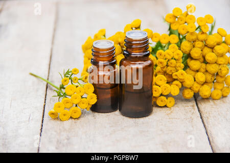 Tansy Arzneimittel Extrakt, Tinktur, auskochen, Öl, in einer kleinen Flasche Natur Stockfoto