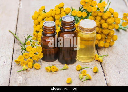 Tansy Arzneimittel Extrakt, Tinktur, auskochen, Öl, in einer kleinen Flasche Natur Stockfoto