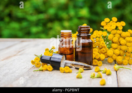 Tansy Arzneimittel Extrakt, Tinktur, auskochen, Öl, in einer kleinen Flasche Natur Stockfoto