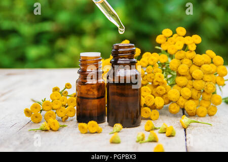 Tansy Arzneimittel Extrakt, Tinktur, auskochen, Öl, in einer kleinen Flasche Natur Stockfoto