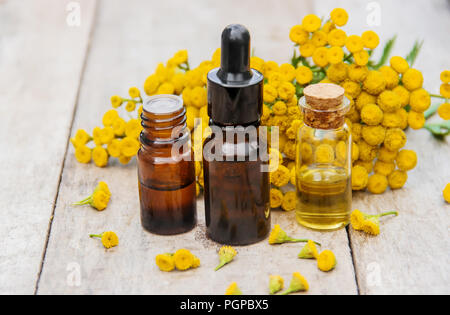 Tansy Arzneimittel Extrakt, Tinktur, auskochen, Öl, in einer kleinen Flasche Natur Stockfoto