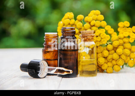 Tansy Arzneimittel Extrakt, Tinktur, auskochen, Öl, in einer kleinen Flasche Natur Stockfoto