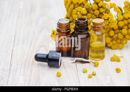 Tansy Arzneimittel Extrakt, Tinktur, auskochen, Öl, in einer kleinen Flasche Natur Stockfoto