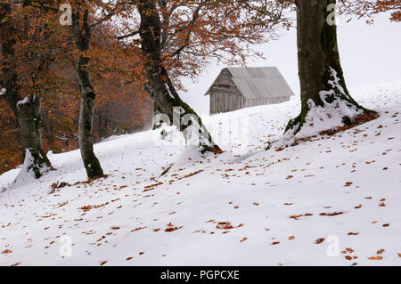 Herbst Landschaft mit den ersten unerwarteten Schnee. Alte Holzhütten auf einem berghügel Stockfoto