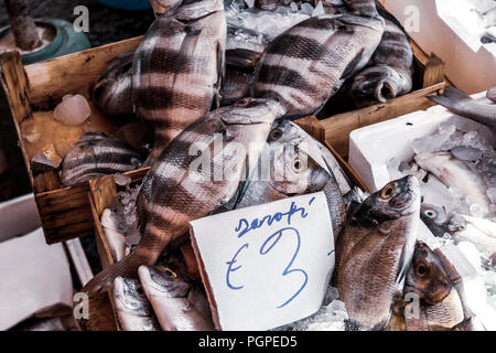 Fischmarkt, Palermo, Sizilien Stockfoto