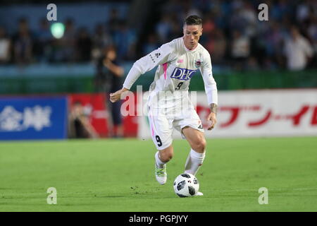 Kanagawa, Japan. 15 Aug, 2018. Fernando Torres (Sagan) Fußball: 2018 J1 Liga Match zwischen Kawasaki Frontale 0-0 Sagan Tosu an Todoroki Stadion in Kanagawa, Japan. Quelle: LBA/Alamy leben Nachrichten Stockfoto
