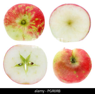 Hälften der reif süß ersten Sommer Grapstein Vielzahl an Apple Obst. Auf weissem studio Makro Set isoliert Stockfoto