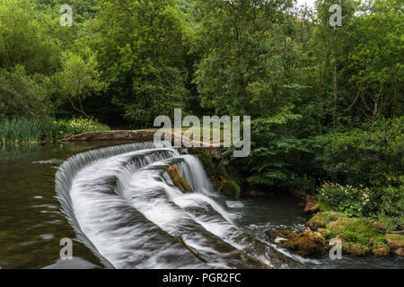 Die friedliche Tal der Monsal Dale im englischen Peak District National Park auf einem Juli morgen mit den Fluss Wye, Derbyshire, England, Großbritannien Stockfoto