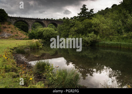 Die friedliche Tal der Monsal Dale im englischen Peak District National Park auf einem Juli morgen mit den Fluss Wye, Derbyshire, England, Großbritannien Stockfoto