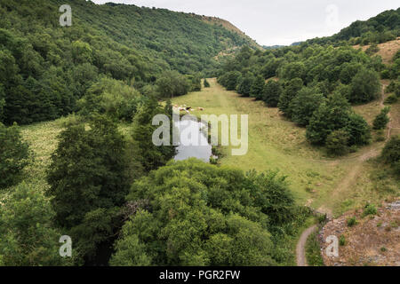 Die friedliche Tal der Monsal Dale im englischen Peak District National Park auf einem Juli morgen mit den Fluss Wye, Derbyshire, England, Großbritannien Stockfoto