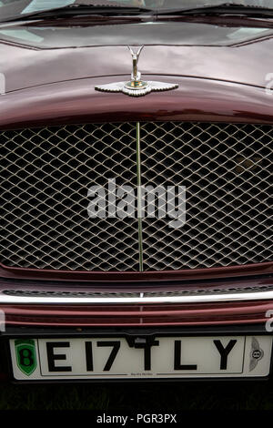 Großbritannien, England, Cheshire, Stockport, Woodsmoor Car Show, Flying B Abzeichen am Kühler des Bentley Arnage Limousine Stockfoto