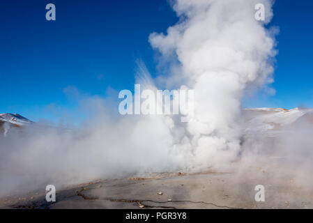 El Tatio Geysire in Chile Stockfoto